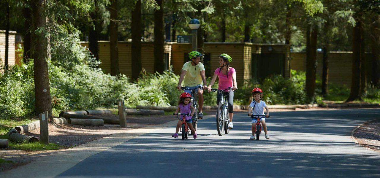 Four cyclists ride together; two adults on full-size bikes and two children on small bikes. They wear helmets, traveling along a shaded paved path through wooded parkland with cabins.