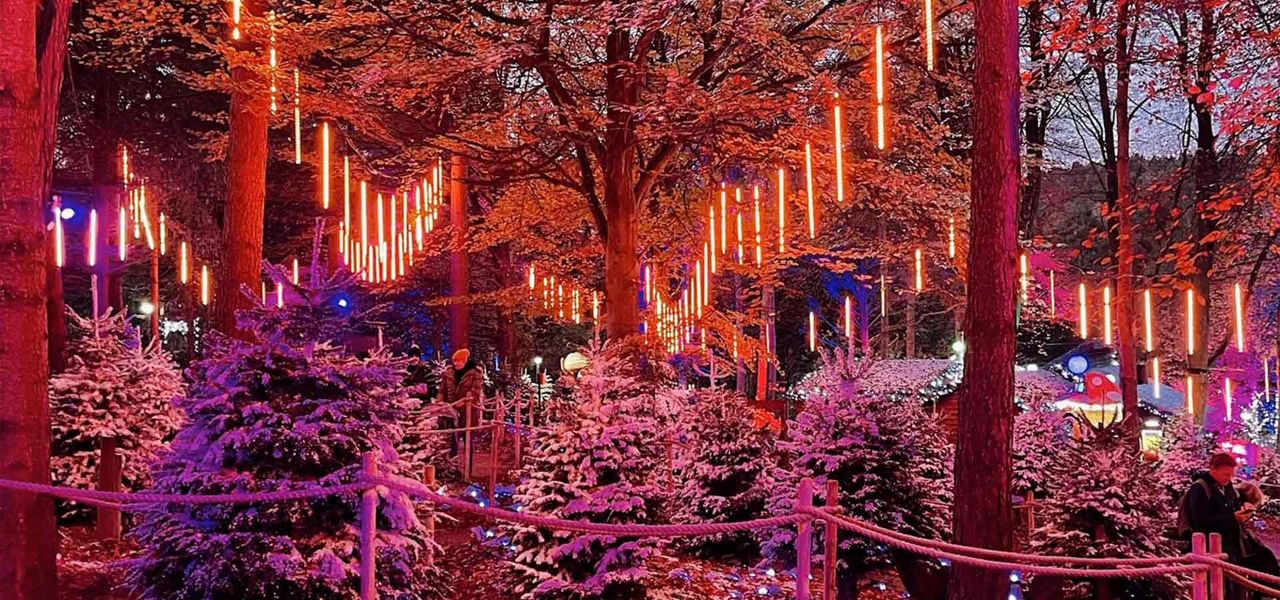 Hanging neon light tubes glow vertically, illuminating a winter forest. Snow-dusted fir trees border a rope-lined walkway as people stroll; small lit huts appear in the background at dusk.