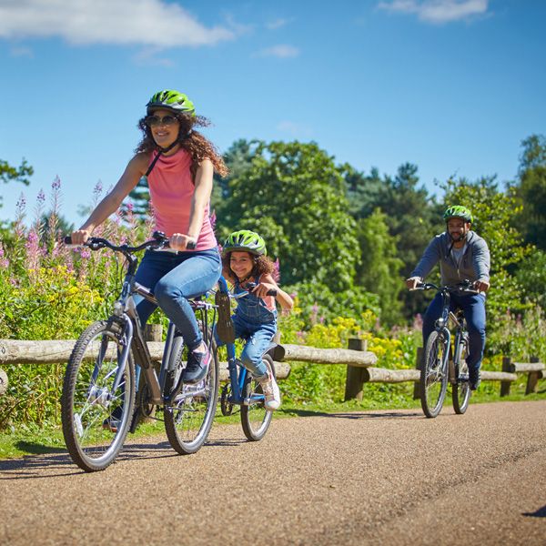Family on a bike ride