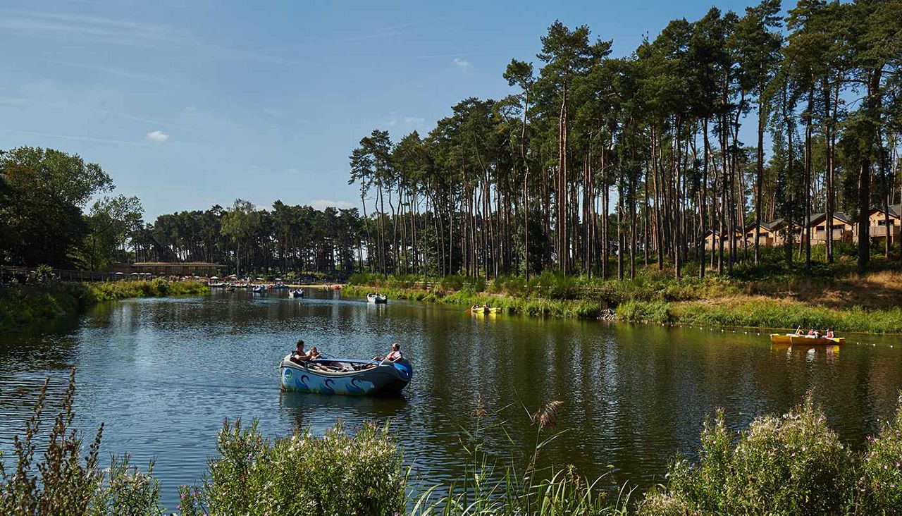 People on an electric boat on the lake with forest either side of them