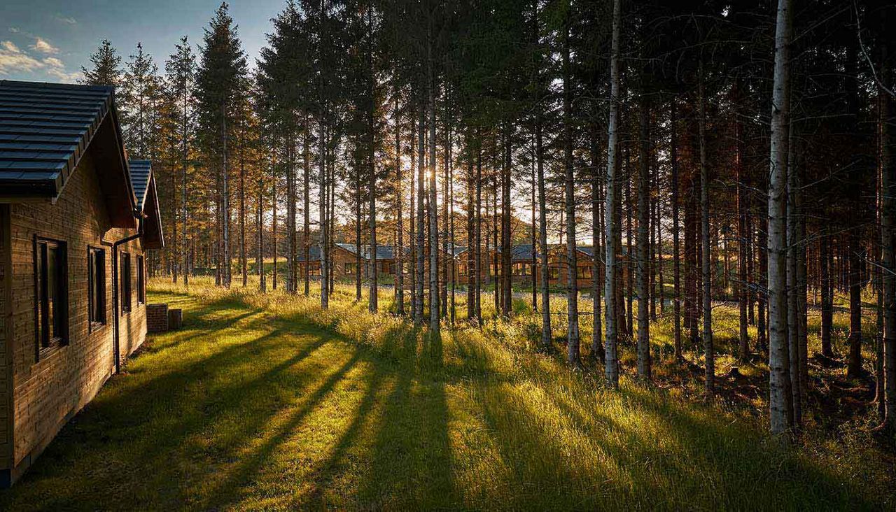 Sun shining through trees with lodges in the distance