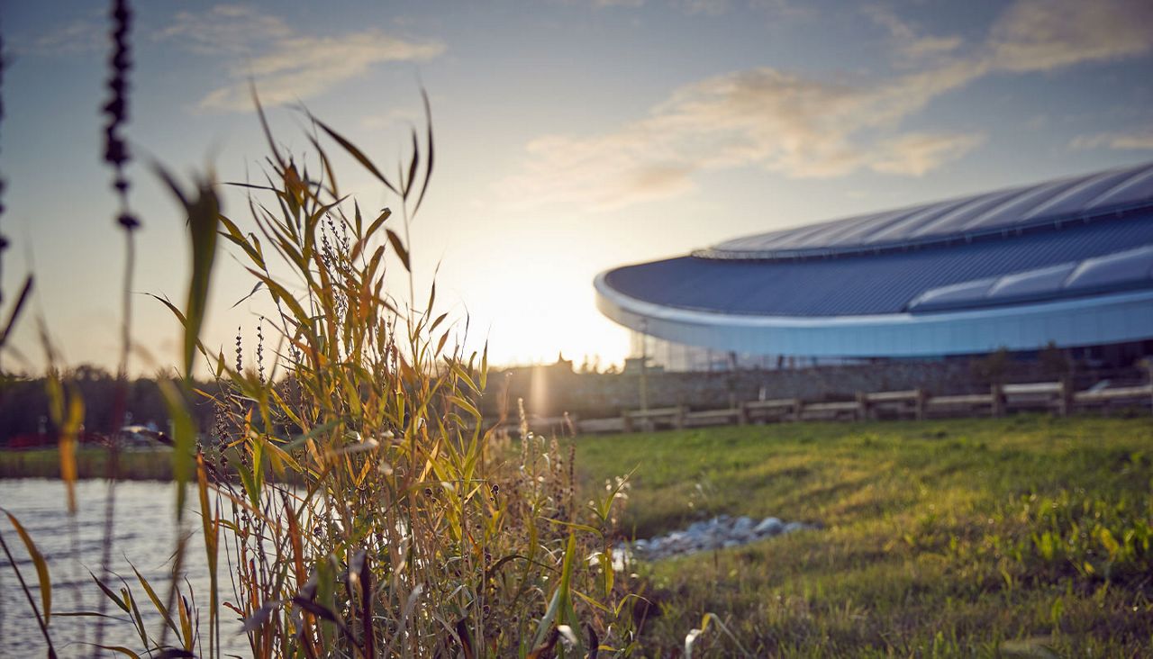 Plants by the lake with the sun setting behind a building in the background