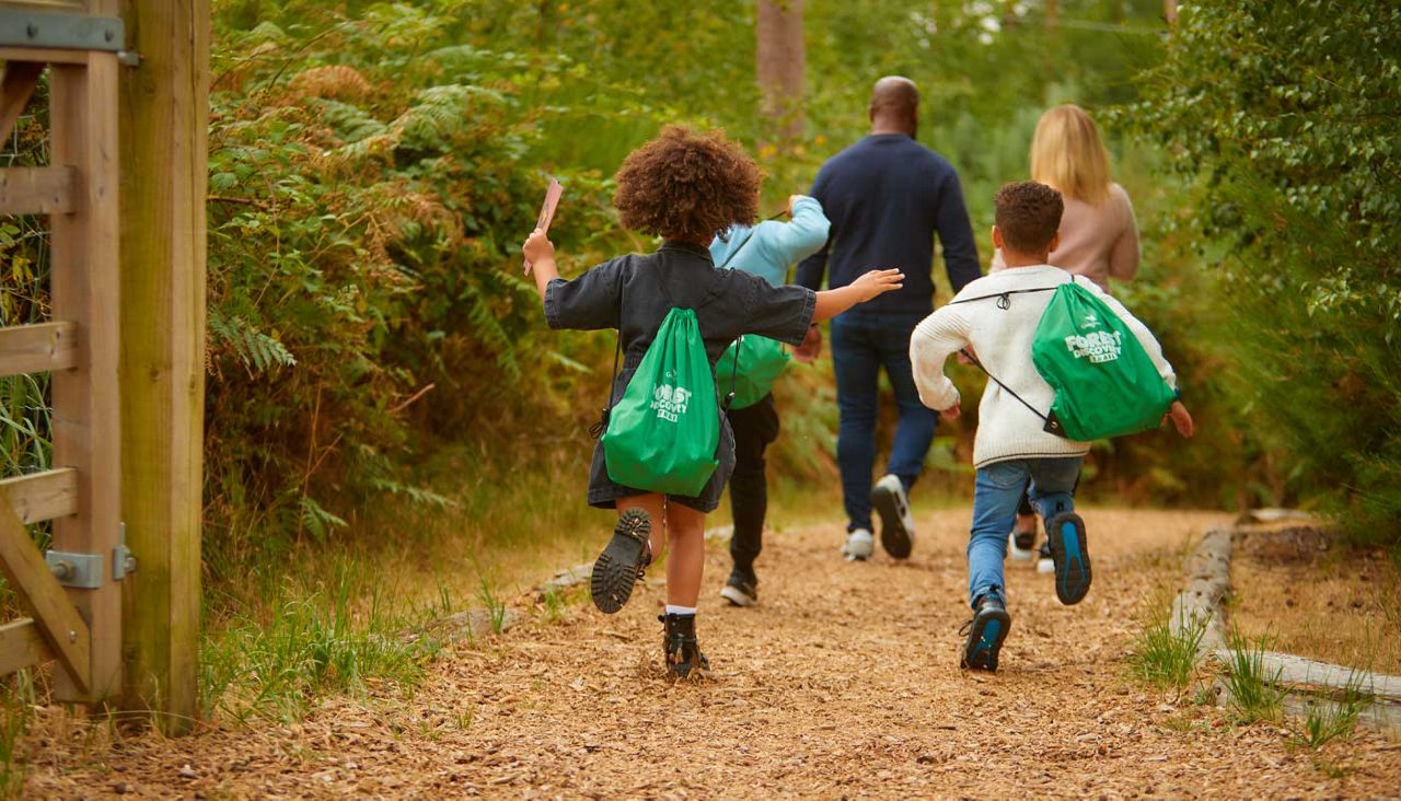 Three children run along a woodchip path, wearing green drawstring backpacks; two adults walk ahead among trees and ferns. Text on bags: “FOREST DISCOVERY [illegible]”.