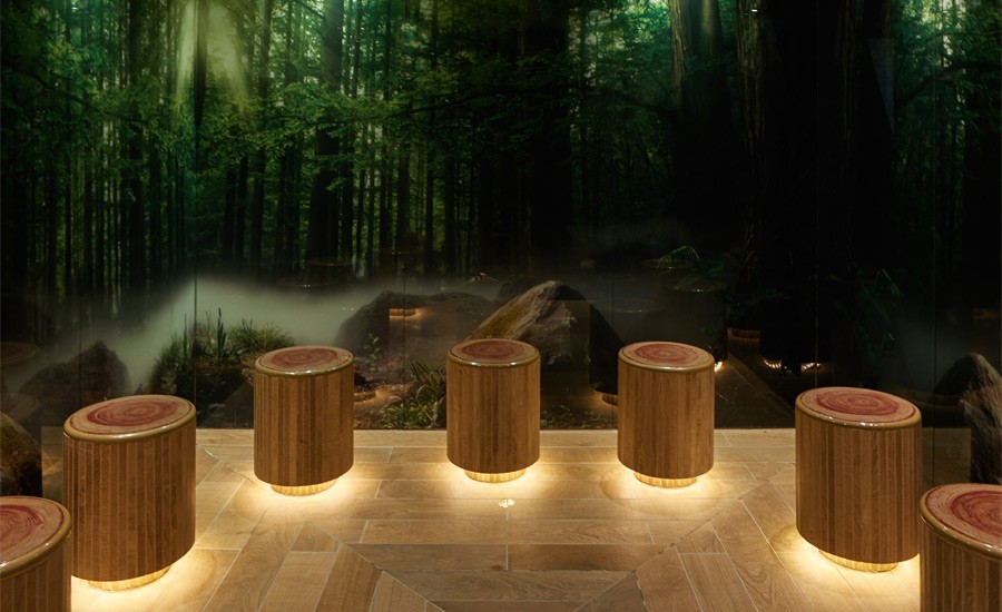Forest themed steam room with tree trunk seating and twinkling lights.