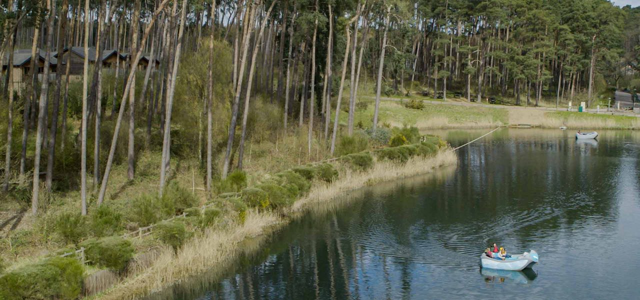 Rowboat carries two people drifting on a calm lake, ripples trailing. Pine forest and wooden cabins line the shore; another boat floats farther away under overcast light.
