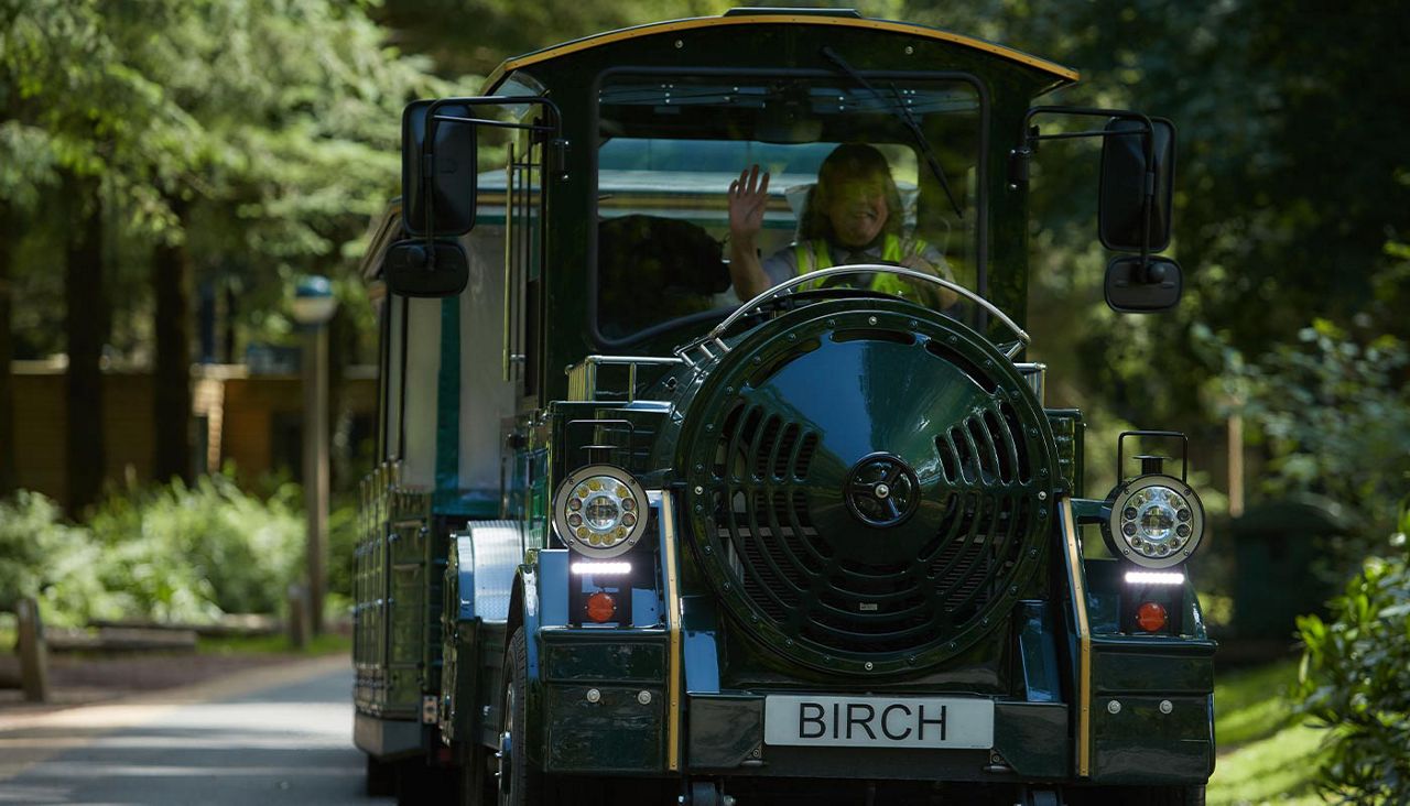 Tourist road-train approaches; driver waves from the cab; trees and a path surround it in a wooded park. Text: BIRCH.