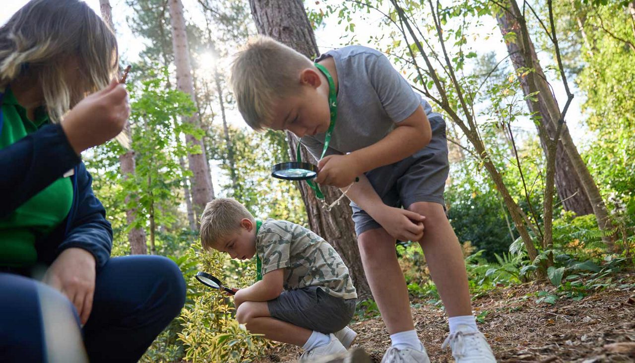 Two people on zip wiresd going over the lake.
