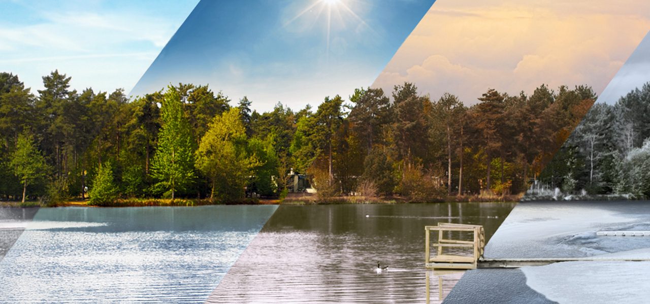 Center Parcs across the seasons