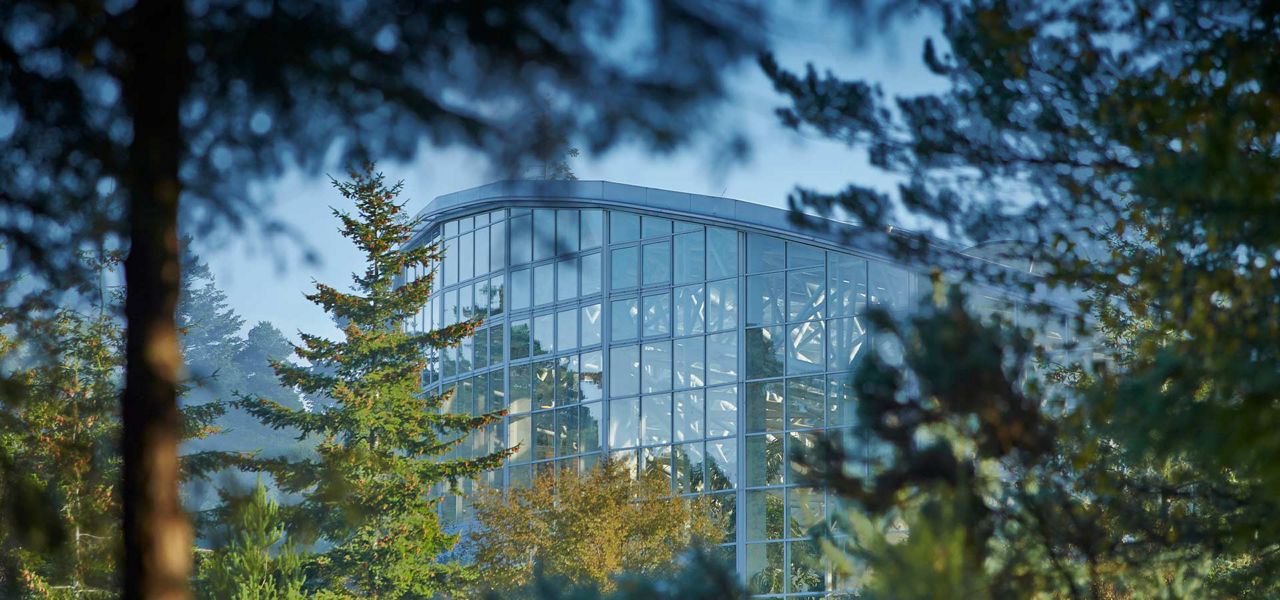 Glass-walled building reflects light and trees, rising behind conifers and autumn foliage; steel trusses visible inside, suggesting an atrium or greenhouse within a misty, forested park.