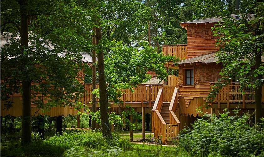 Elevated wooden treehouses rise on stilts, connected by railings and a central staircase, surrounded by dense leafy forest with sunlight filtering through trunks and undergrowth.