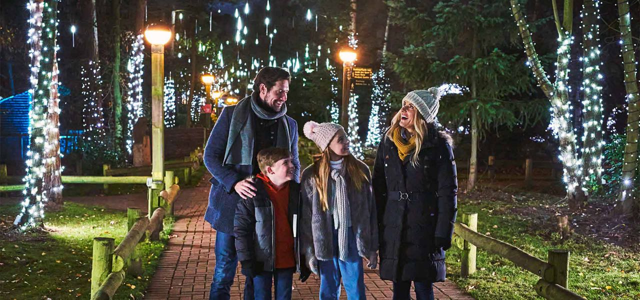 Family walk through Winter Forest Lights show